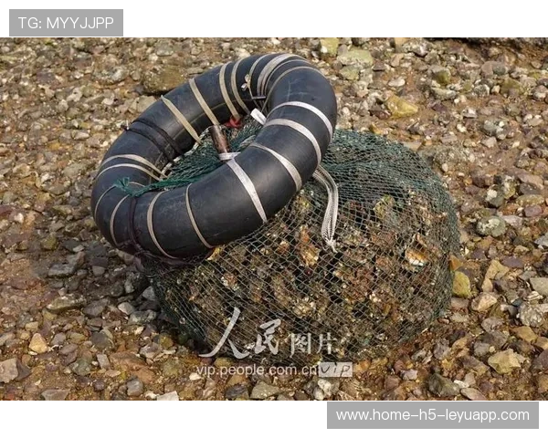 台风过后惠州赶海潮涌，市民满载而归，惠州赶海退潮每天的时间表